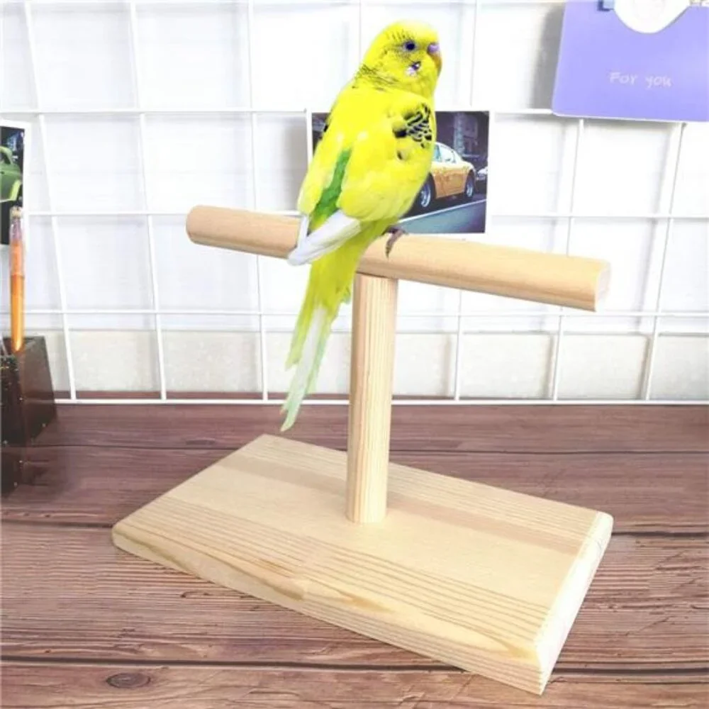 Bird Training Stand, Portable Tabletop Bird Perch Spin Training Perch Spin